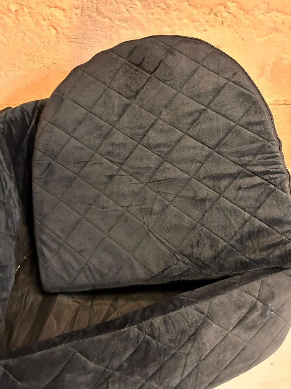 Booster car seat for pets